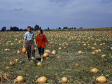 Couple Walks Through a Field Dotted with Ripe Pumpkins Photographie par Jack Fletcher