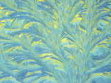 Frost on a Window with Morning Sun Refracting Through Ice Photographie par Paul Nicklen