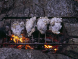 Oysters Roasting on a Grate over a Campfire Photographie par Ed George