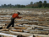 Lumberjack Uses a Pike Pole to Prevent a Massive Log Jam on a River Photographie par Jack Fletcher