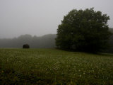 Hay Bale in a Field in Early Morning Fog Photographic Print by Rebecca Hale