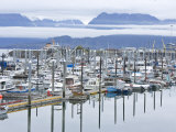 Marina at Homer Harbor in the Kenai Peninsula, Alaska Photographic Print by Michael Melford