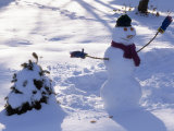 Dressed Up Snowman Next to a Snow Covered Colorado Blue Spruce Photographic Print by Paul Damien