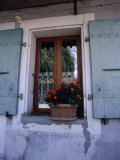 Potted Flowers in a Window with Lace Curtains Photographic Print by Ed George