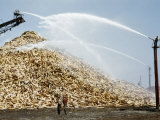 Men Spray Water on Pulpwood to Guard Against Fire During Drought Photographie par Jack Fletcher