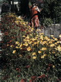 Woman Looks at Flowers Bordering the Sidewalk Photographie par Charles Martin