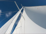 Sails Rise Up into a Blue Sky Photographie par Heather Perry