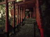 Stairway to a Mountain Temple in Beppu Fotografisk tryk af Paul Chesley Stairway to a Mountain Temple in Beppu Fotografisk tryk af Paul Chesley