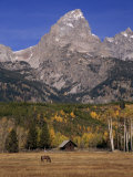 Rugged Mountains and Grazing Horse in an Autumn Landscape Photographie par Ed George