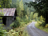 Old Mine Buildings in a Ghost Town Photographic Print by Pete Ryan