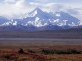 Majestic Snow-Draped Mountains a Backdrop for a Grazing Moose Photographie par Ed George
