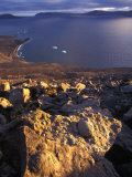 Fossils on Rocks Photographic Print by Nick Norman