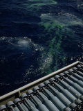 Green Dye Marks Attack Point in Water of Hedgehog Projectile Fotografisk trykk av David Boyer Green Dye Marks Attack Point in Water of Hedgehog Projectile Fotografisk trykk av David Boyer