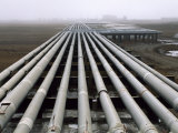 Trans-Alaska Pipelines at an Oil Field in Alaska's North Slope Photographic Print by Joel Sartore Trans-Alaska Pipelines at an Oil Field in Alaska's North Slope Photographic Print by Joel Sartore