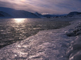 Fiord Freezing over for the Winter Photographie par Paul Nicklen