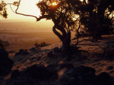 Sunset over the Barossa Valley Photographie par Jodi Cobb