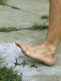 Man's Bare Foot Raised over Colonial Caltrop Shows its Defensive Use Photographie par Walter Meayers Edwards