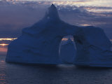 Big Icebergs Break Off from Greenland and Drift South Photographie par Paul Nicklen