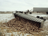 High Winds Put a Tractor Trailer on its Side Where it Spilled its Load Photographie par Paul Chesley