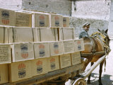 Man and Mule Cart Transport Boxes of Food Aid from United States Photographic Print by Maynard Owen Williams