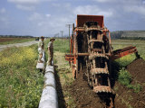 Workers Stand on Pipes Beside Trench-Digging Machinery Photographie par Maynard Owen Williams
