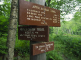 Signs Along the Appalachian Trail Impressão fotográfica por Michael Melford Signs Along the Appalachian Trail Impressão fotográfica por Michael Melford