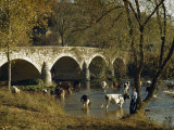 Boy Fishes in a River Near Wading Cows and Old Stone Bridge Photographic Print by Joseph Baylor Roberts Boy Fishes in a River Near Wading Cows and Old Stone Bridge Photographic Print by Joseph Baylor Roberts