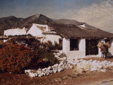 Roadside Inn with a Substantial Flower Garden Photographie par Gervais Courtellemont