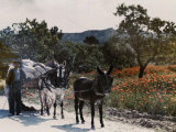 Man Stands Next to His Cart Pulled by Two Donkeys Lámina fotográfica por Gervais Courtellemont Man Stands Next to His Cart Pulled by Two Donkeys Lámina fotográfica por Gervais Courtellemont