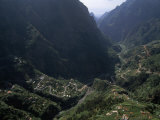 Nestled in the Heart of Madeira, Curral Das Freiras Photographic Print by Medford Taylor