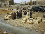 Shepherds and their Flocks Gather by a Stream on Amman's Outskirts Photographie par Maynard Owen Williams