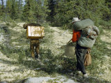 Men Carry Boxes, Backpacks, and Assorted Gear on Footpath in Forest Fotografisk trykk av Andrew Brown Men Carry Boxes, Backpacks, and Assorted Gear on Footpath in Forest Fotografisk trykk av Andrew Brown
