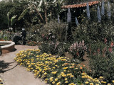 Famous Garden Located in San Diego Photographic Print by Charles Martin