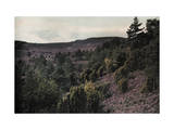 View of the Moors and Fens Once Hunted by the Kings of Hanover Photographic Print by Hans Hildenbrand