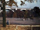 Woman Sits Watching Horses in Rock Creek Park Photographie par Edwin L. Wisherd