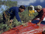 Men Inspect Scratches on their Overturned Canoe's Bottom Fotografisk trykk av Andrew Brown Men Inspect Scratches on their Overturned Canoe's Bottom Fotografisk trykk av Andrew Brown