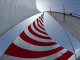 Looking Up into the Sails of a Sailboat Impressão fotográfica por Jodi Cobb Looking Up into the Sails of a Sailboat Impressão fotográfica por Jodi Cobb
