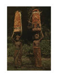 Two Balinese Women Carry Temple Offerings of Fruit on their Head Photographic Print by Franklin Price Knott