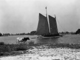View of a Sailboat Crossing Through the Harbor of Solomons Island Photographie par Edwin L. Wisherd