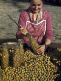 Woman Packs Green Olives Stuffed with Pimientos into Tall Glass Jars Photographic Print by Luis Marden Woman Packs Green Olives Stuffed with Pimientos into Tall Glass Jars Photographic Print by Luis Marden