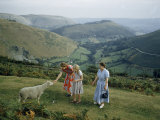 Women Pet Shy Sheep on Hillside Overlooking Green Valley Photographie par B. Anthony Stewart