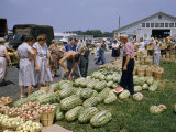 People Shop for Produce at an Open-Air Farmer's Market Photographie par Robert Sisson