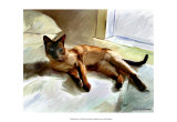 Gatos Siameses Pósters por Robert Mcclintock