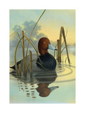 Red Headed Duck in Reeds Prints