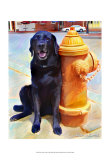 Lab's Best Friend Affiche par Robert Mcclintock