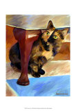 Calico Face Posters by Robert Mcclintock