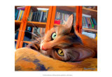 Kitty that Reads Prints by Robert Mcclintock