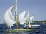 Sailboats Cross a Race Course Starting Line with Wind-Filled Sails Photographie par Robert Sisson