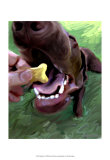 Dog Bite Posters by Robert Mcclintock