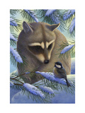 Raccoon and Chickadee in Snow Posters